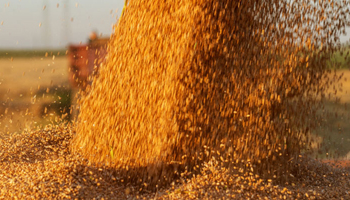 silo getreide px