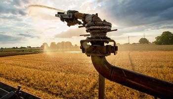 beregnung schlauch landwirtschaft wasser